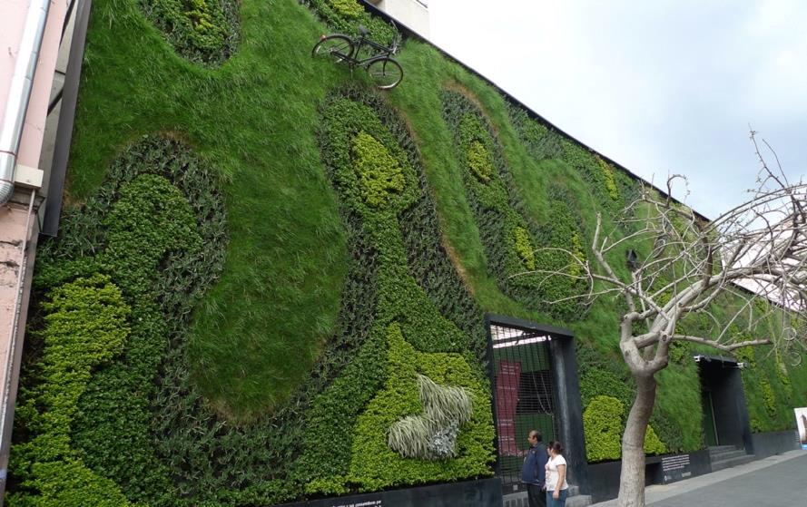 A patterned living wall covering a building facade, pictured in the Week 10 lecture on green walls.